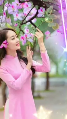 Gặp Nhau Giữa Rừng Mơ #amnhachuuvinh