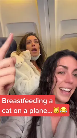Yes, I am the breastfeeding cat lady 🐱😂  IT WAS A SKIT but anyway if you liked that you’ll love my new song #thatbxtch check it out 💕 #catlady #catonaplane #reels #fyp #trending #viral #megaviral