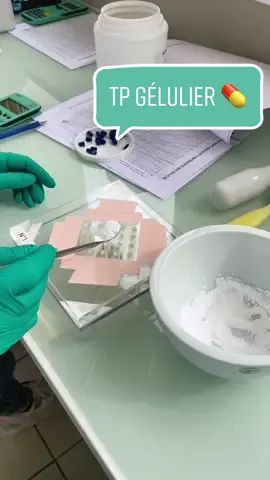 Une confection de gélules 💊feat @maude cartailler (y’aura peut-être une partie 2 sur les émulsions🥵) #pharmacy #TP #P2 #pass #study #pharmacie