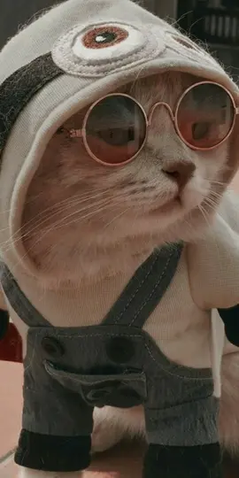 sevdiğine göndermelik♡#kesret #fypシ #yeşim #sadd_97