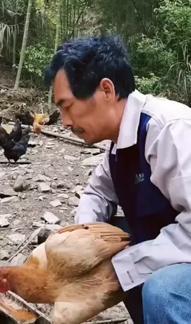 #animals #funny #fun