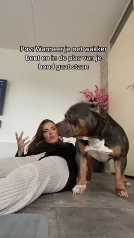 Getvurrrrrrrrr #fyp #foryou #foryoupage #vj #voorjoupagina #voorjou #marenenraffie