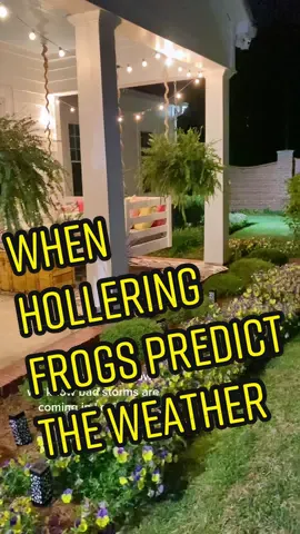 Wakin’ up this morning after a night of bad storms. But the frogs were hollering before I went to bed, so I knew what to expect. Is this true where you live? #louisiana #louisianalove #weather #louisianaweather #backporchvibes #oldwivestales #oldwivestale #ComeDanceWithMe #ScreamItOut
