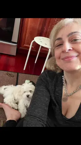 #maltese #maltesebaby #goodday #lovedogs ##lovedoggys♥️🐾 #cutebaby #nyc #nj #manhattan