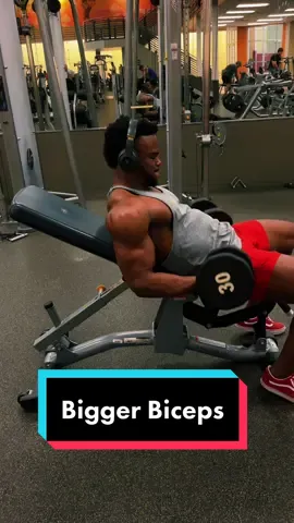 This will hit all the crucial parts for bigger biceps #biceps #bodybuilding #fyp #GymTok