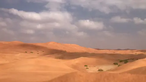 اترك أثرًا حميدًا ، أسعد النّاس ، أورثهم شيئا رائعًا ، ارسم بسمة ، اخرج من الحياة و قد أضفت لها شيئًا .#اكسبلورexplore #ذكر_الله #الإمارات #بر