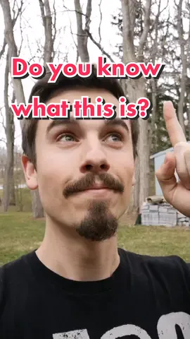 Do you know what this is? 🤗 #macrophotography #naturephotography #photography