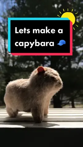 Reply to @boggwater 🧢 CAPYBARA 🧢 #capybara #plushtoys  #sewing #sewtok #DIY #capybaratiktok