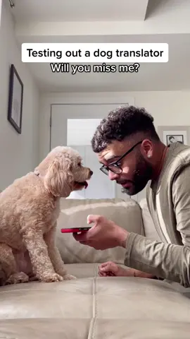 I can’t believe it worked 😳 #dogtranslator #dogs #fyp #foryou #dogsoftiktok #pets