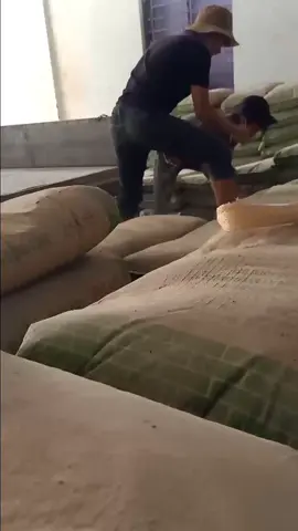 công việc nào củng có thú vui #nhactre #xuhuong #tiktokvietnam