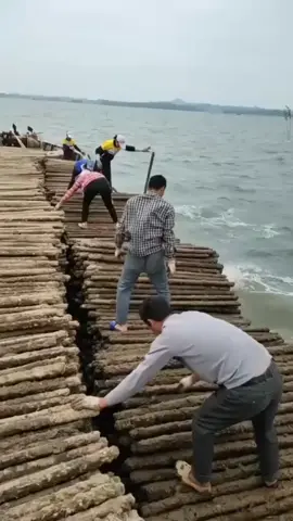 🤔 #howitsmade #oyster #farm