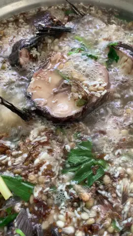 แกงปลาค่อ ใหญ่ใส่ไข่มดแดง#tiktokพากิน #ห้องครัวtiktok #อาหารบ้านเฮา