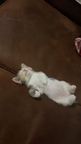 I JUST. #cuteaggression