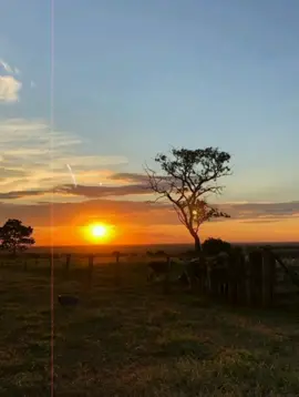 bom dia! 🏜️❤️#remix#bregadeira#tipigrafia