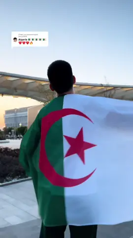 Ответ пользователю @jazzy0966  Algeria 🇩🇿❤️ which flag to make next? Inst: auda_amar