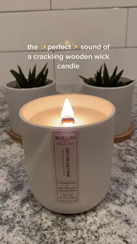 *finish the caption* “once you go wooden…” #candletok #PassTheBIC