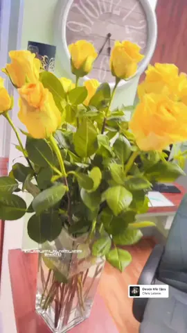 #alleyesonmebyyusimycorono #bodycontouring #PassTheBIC #viral #fyp #WomenOwnedBusiness #woodtherapy #paratii #fatburner