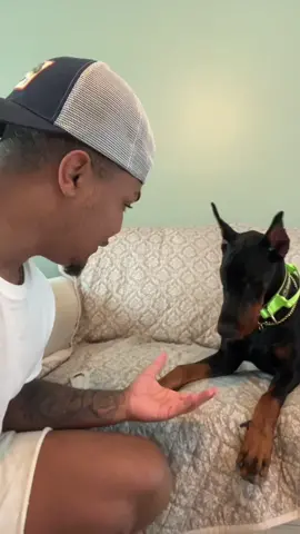 Just gets up an leave.. 💀🤣 #fyp#viral#suavexavier#knox#bear