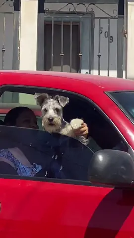 Como no lo voy amar 🫣 #reynosa #FreeFireXBTS #parati #fyp