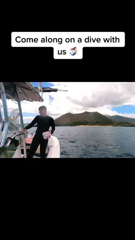 Come along on a dive with us 🧜🏻‍♀️ lots & lots of eels 🧜🏻‍♀️🌊 #comedivewithus #eels #fishies #octopus🐙 #octopus #tako #scubatiktok #scubadiving #crab #ocean #fyp #mermaids #foryou #fypシ