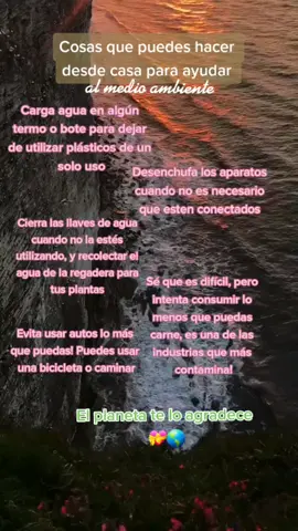 Dejemos a la tierra respirar!💗🩹🌎 #arboles #reciclaje #medioambiente #fyp #planetatierra #foryoupage