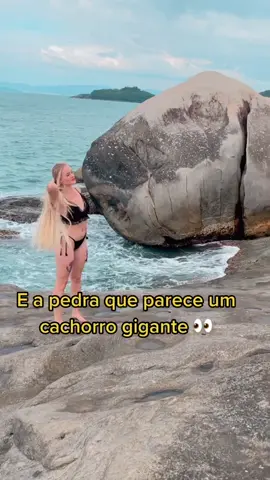 Para vcs tambm tem o formato de um cachorro? #fy #tiktokbrasiloficial #flypシ