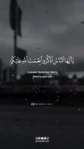 💛♥️ #القران_الكريم #ماهر_المعيقلي #حالات_واتس #quran #fyp #رمضان #راحة_نفسية