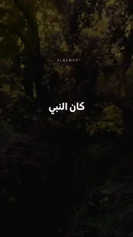 أخلاق النبي مع ازواجه✨❤️#مقتطفات #3lalmyy