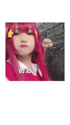 ใครแกงตัวเองไม่มี๊