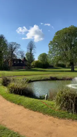 Golf day, bosh #fyp #golf #golftiktok