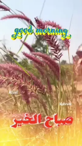 #നമ്മൾ ഇഷ്ടപ്പെടുന്നവർ പറയുന്നത് കള്ളമാണെന്ന് അറിഞ്ഞാലും നമ്മൾ അത് അംഗീകരിച്ച് കൊടുക്കും .....എന്തിനാണെന്നോ ..ആ ഇഷ്ടം ഒരിക്കലും അവസാനിക്കാതിരിക്കാൻ .......പക്ഷേ അവരോ ?നമ്മളെ വീണ്ടും വീണ്ടും പറ്റിച്ച് കൊണ്ടിരിക്കും !!!!!