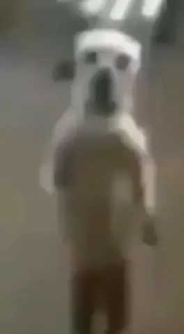 joga y joga#jogaijoga #fy#meme#foryou