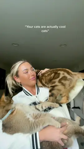 Don’t hate on my chickens #foryoupage #fyp #viral #catsoftiktok #kittens #cats