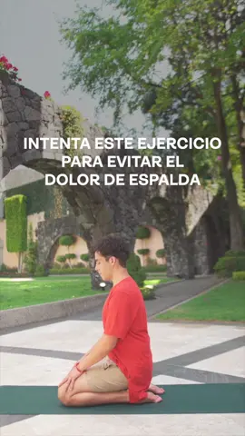Adiós dolor de espalda 👋  encuentra este outfit y más en liverpool.com.mx y Liverpool Pocket #nike #yoga #zen #OOTD #monday #fypシ