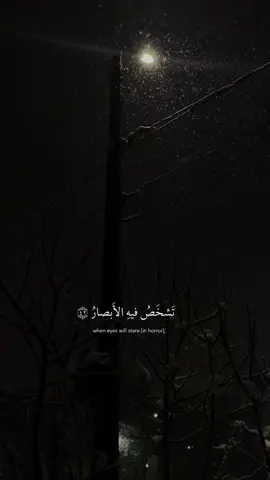 #quran #عبدالرحمن_مسعد