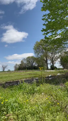 I need a cameraman #toyota #camry #mudding #bogging #shitbox #beater #farmspecial #fyp #CatOnALeash #takeaNAIRbreak