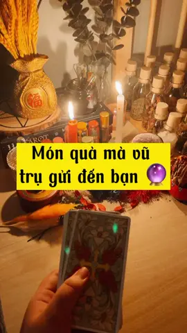 Món quà mà vũ trụ gửi đến bạn ✅ #tarotthienyen #tarotthefox #thefoxtarot #thienyentarot #thienyen