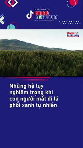 Những hệ lụy nghiêm trọng khi con người mất đi lá phổi xanh tự nhiên #xuhuong #kinhtemoitruong #LearnOnTikTok #tiktoknews #tiktokdieuky