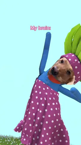 🤷🏼‍♀️🎾 #wavingarms #takeaNAIRbreak #dogsofttiktok