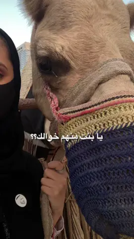 خوالي خوال العز💙 #اكسبلورexplore #الامارات #فوريو #هشتاقات_للرخوم❤️‍🔥 #شعب_الصيني_ماله_حل😂😂