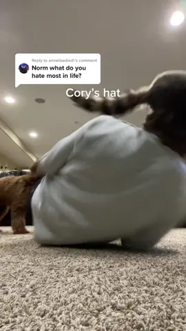 Reply to @annelisedied