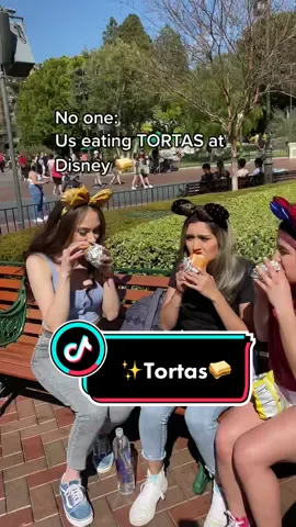 Who else brings TORTAS to Disney?🐭✨ #jokess #comedyvids #notviral @m.estrada