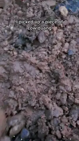 I feel the ⚡️! Pikachu?#crystals #crystaltiktok #fyp