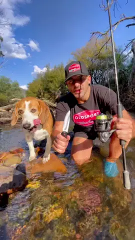 River fishing catch & cook #catchandcook #riverfishing #troutfishing