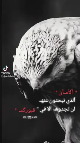 🖤 أكسبلور 🖤 متابعة 🖤 تعليق 🖤#foryoupage