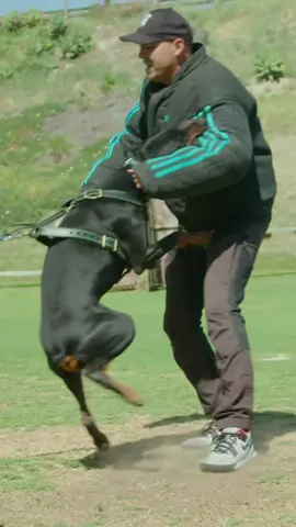 Was the expected or nah😂 #fyp #viral #dogsoftikok