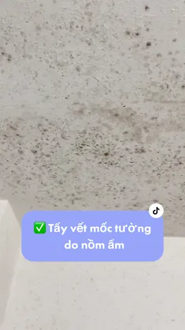 😱 Tường bị mốc do nồm ẩm, liệu có sạch?… #moc #moctuong #vesinh #xuhuong