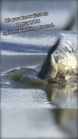 WATCH OUT. 🐊 📺 Golf Channel #golf #golftiktok #alligator