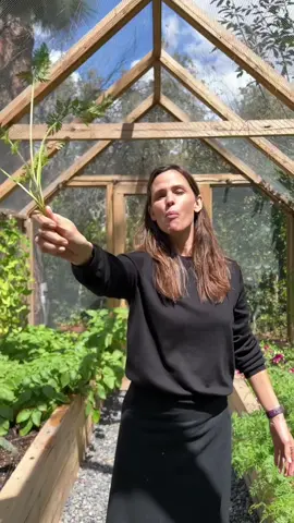 Fun fact: singing to your veggies helps them grow. Happy #EarthDay! 🥕🌞♥️👩🏻‍🌾 @onceuponafarm_