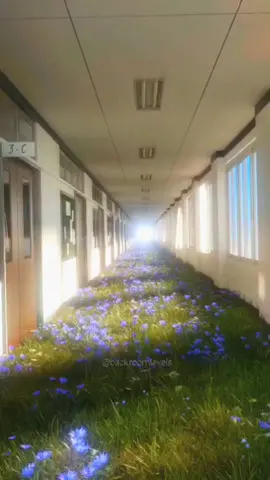 (should I make comfort edits like this? Awnser in comments) #fyp #backrooms #fieldofdreams #backroomlevels #oldi #noclippingintobackrooms #almondwater #backroomedit #backroomsfootage #foundfootage #edit #comforting #backroomstiktok #backroomsreal #lavender #comfortingedit #comfortedit #Inverted
